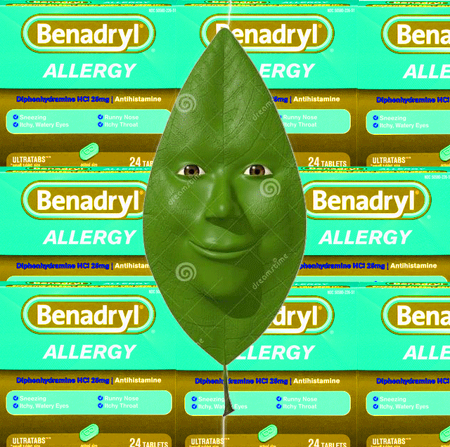 bean