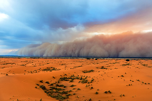 sandstorm